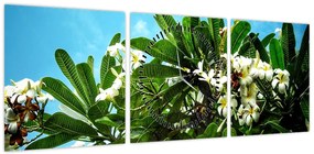 Obraz - Plumeria (z zegarem) (90x30 cm)