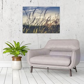 Obraz kwiatów łąkowych (70x50 cm)