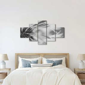 Obraz - Mlecz (125x70 cm)