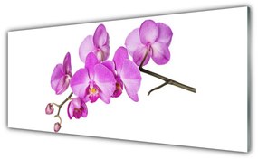 Obraz Akrylowy Storczyk Orchidea Kwiaty