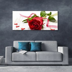 Obraz Canvas Róża Kwiat Roślina Natura