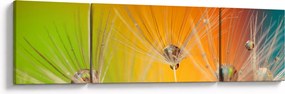 Obraz kropli na roślinie (170x50 cm)