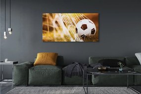 Obraz na płótnie Kontrastowy Futbol Na Murawie