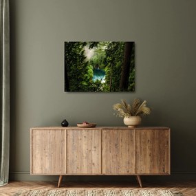 Obraz na szkle - Przestrzeń między drzewami (70x50 cm)