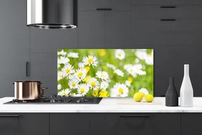 Panel Szklany do Kuchni Urok Polnej Stokrotki