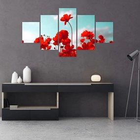 Obraz pola z jasnoczerwonymi kwiatami (125x70 cm)