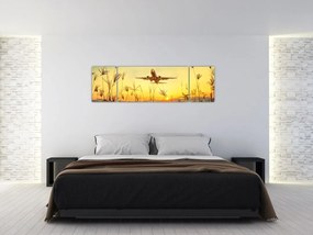 Obraz startującego samolotu (170x50 cm)