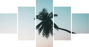 Obraz - Palma na Bali (125x70 cm)