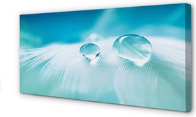 Obraz na płótnie Makrofotografia Kropli Wody