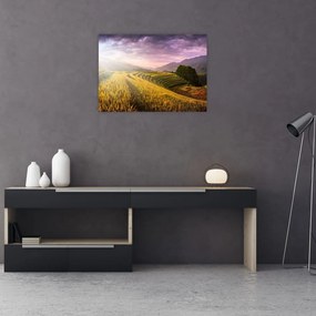 Obraz na szkle krajobrazu (70x50 cm)