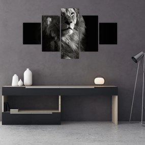 Obraz - Lew (125x70 cm)