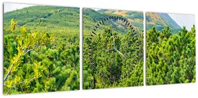 Obraz - Babia Góra, Polska (z zegarem) (90x30 cm)