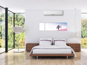 Obraz - Różowy sen (170x50 cm)