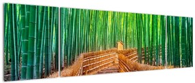 Obraz - Japoński las bambusowy (170x50 cm)