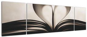 Obraz książki (170x50 cm)
