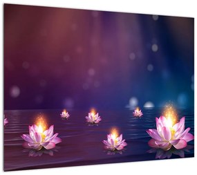 Obraz na szkle - Magiczne lilie wodne (70x50 cm)