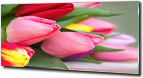 Foto obraz szklany Kolorowe tulipany