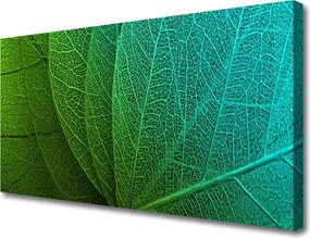 Obraz na płótnie Botaniczna Forma Abstrakcyjna