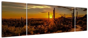 Obraz - Koniec dnia na pustyni w Arizonie (170x50 cm)