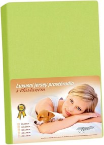 Bellatex Prześcieradło z elastanem Jersey wiosenny zielony, 200 x 220 cm