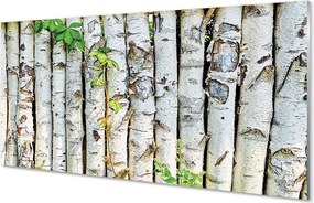 Panel szklany do Kuchni Zielone Liście Brzozy