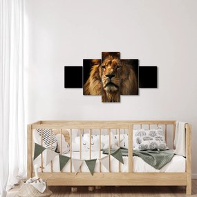 Obraz - Lew z bogatą grzywą (125x70 cm)