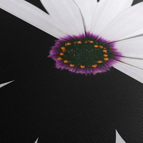 Obraz czarno - białego kwiatu (z zegarem) (90x30 cm)