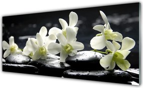 Panel nad blat kuchenny Równowaga: Kwiat I Skała