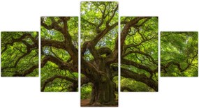 Obraz - Zielone drzewo (125x70 cm)