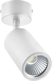 Pojedynczy reflektorek sufitowy z metalu Tori SL 3