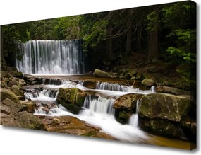 Zdjęcie na płótnie Ukryty Wodospad w Gęstwinie