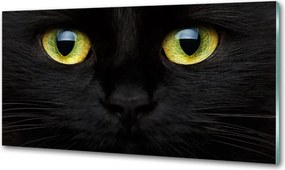Panel dekor szkło Kocie oczy
