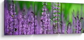 Obraz fioletowych kwiatów polnych (z zegarem) (90x30 cm)