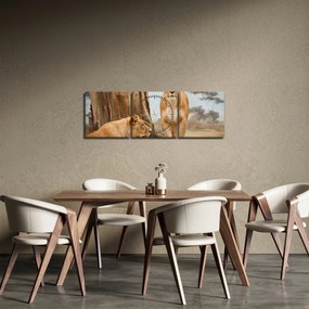 Obraz - dwie lwice (z zegarem) (90x30 cm)