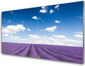 Szkło Ozdobne do Kuchni Kwiatowy Dywan Na Polanie