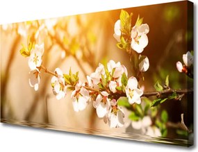 Obraz canvas Letni Bukiet na Płótnie