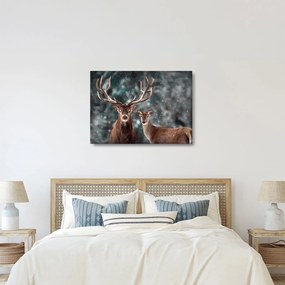 Obraz - Jeleń i łania w zaśnieżonym lesie (70x50 cm)