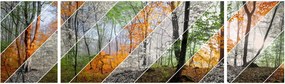 Obraz - Zmieniające się pory roku (170x50 cm)