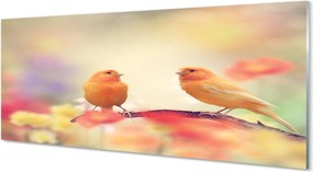 Panel szklany do Kuchni Rodzina Kolorowych Papug