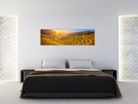 Obraz - Pole ryżowe w Wietnamie (170x50 cm)