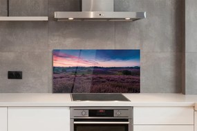 Panel Kuchenny Szklany Pejzaż z Wrzosami