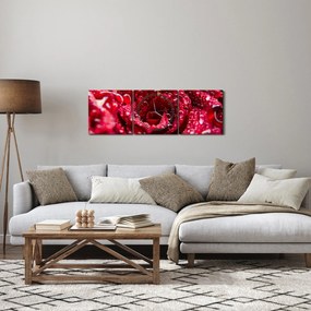 Obraz czerwonego kwiatu róży (z zegarem) (90x30 cm)