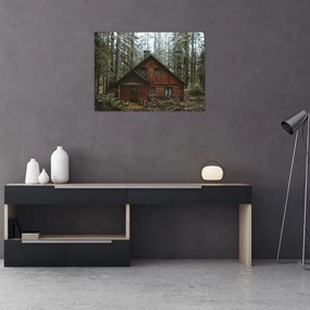 Obraz - Chata górska (70x50 cm)