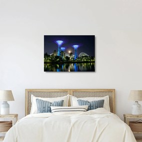Obraz na szkle przedstawiający pełnię księżyca w ogrodach Singapuru (70x50 cm)
