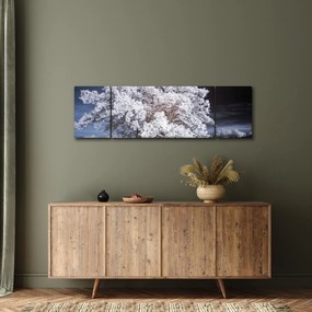 Obraz - Śnieżnobiałe drzewo (170x50 cm)