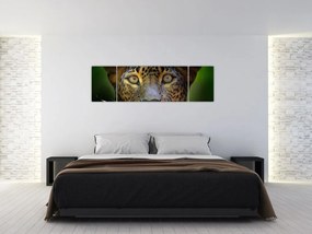 Obraz - Portret lamparta, Sri Lanka (170x50 cm)