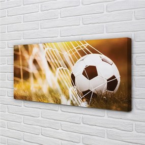 Obraz na płótnie Kontrastowy Futbol Na Murawie