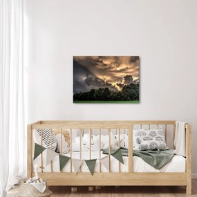 Obraz chmur i lasu (70x50 cm)