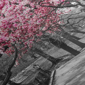 Obraz drzew magnolii (70x50 cm)