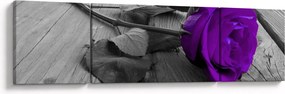 Obraz - Fioletowa róża z zieloną łodygą (170x50 cm)